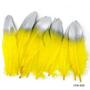 FEATHER