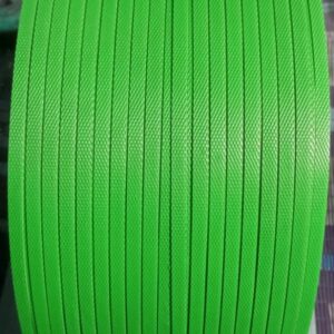PACKING PATTI GREEN
